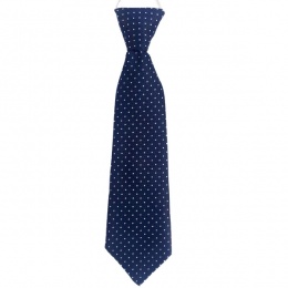 Boys Navy Dot Satin Tie on Elastic